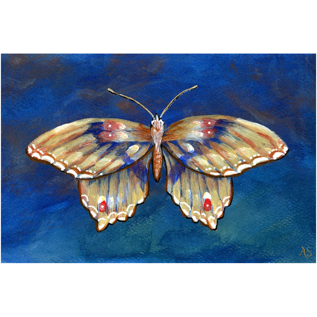 blue butterflies print by Editors Choice