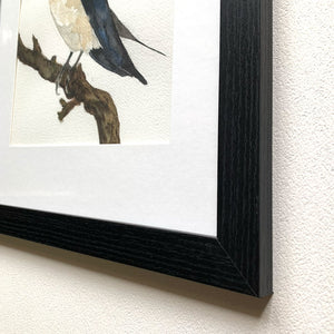 barn swallow watercolor bird painting black frame detail