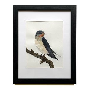 barn swallow watercolor bird painting in black frame