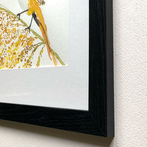 bearded reedling yellow bird watercolor painting black frame detail