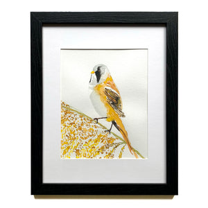 bearded reedling yellow bird watercolor painting in black frame