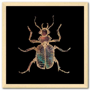 16 inch square Gold Foil Galactic Hunter Beetle Fine Art Print by Aimee Schreiber, galaxy gold leaf ink with natural maple wood frame