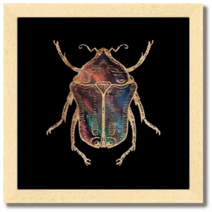 10 inch square Gold Foil Galactic June Beetle Fine Art Print by Aimee Schreiber, galaxy gold leaf ink with natural maple wood frame