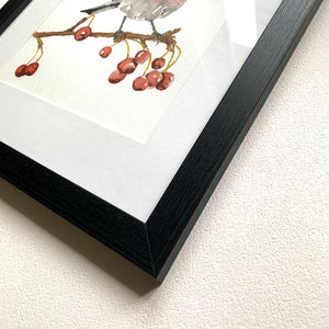 house finch with berries framed watercolor painting black frame detail