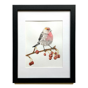 house finch with berries framed watercolor painting