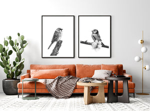 tree sparrow charcoal art prints framed over sofa