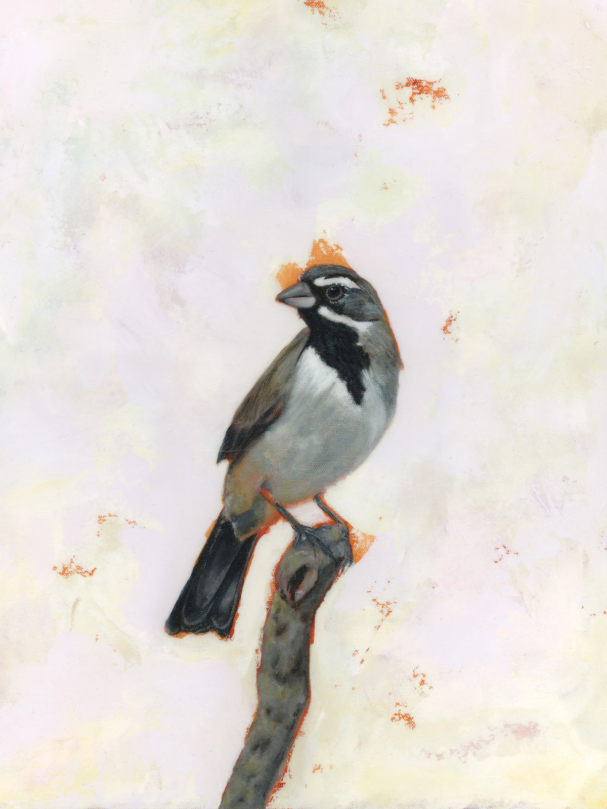 &quot;Pathfinder&quot; Black-Throated Sparrow Art Print