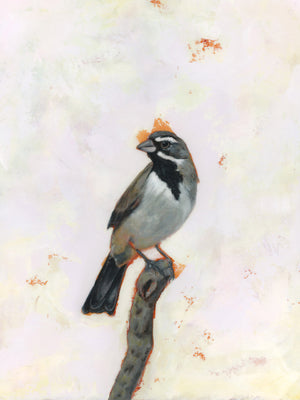 "Pathfinder" Black-Throated Sparrow Art Print