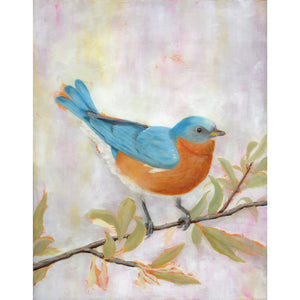 bluebird art print by Danny Schreiber