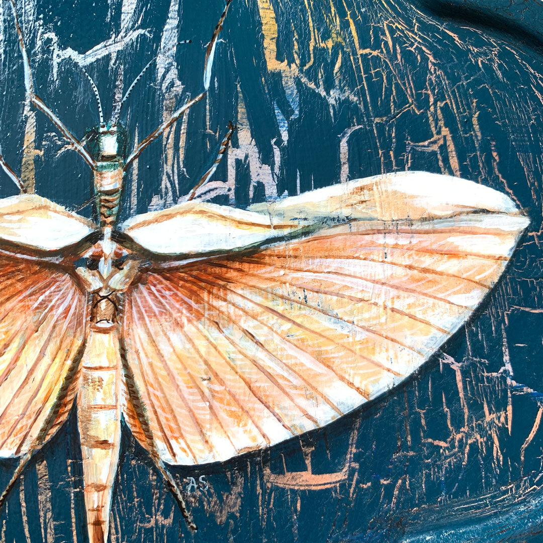 blush winged stick insect painting wing detail