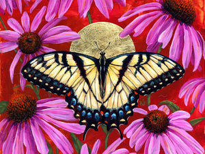 "Open" Swallowtail Butterfly Art Print