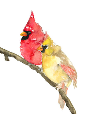 cardinals bird art print by Danny Schreiber