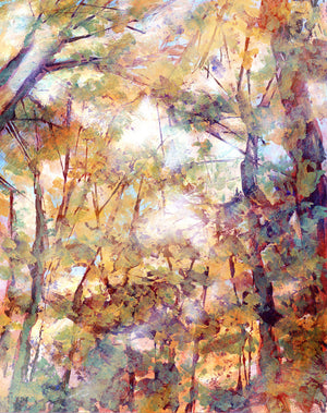 cathedral canopy fall forest landscape fine art print 