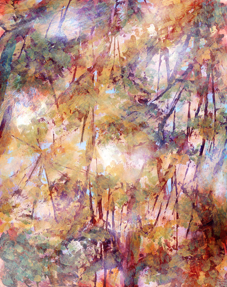 cathedral canopy ii fall forest landscape fine art print wall decor