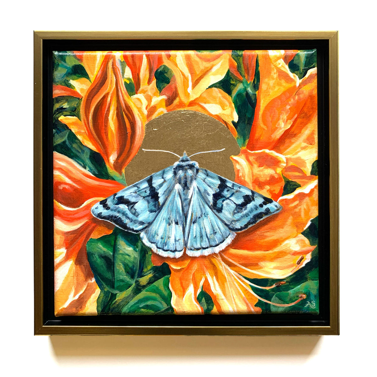 cerulean looper moth orange rhododendron painting