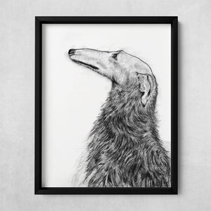 charcoal borzoi dog fine art print in black frame
