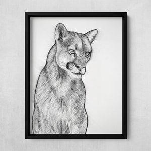 charcoal cougar mountain lion art print in black frame