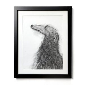 charcoal drawing borzoi dog in black frame