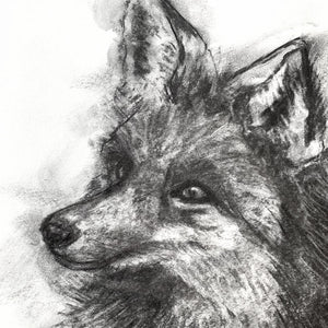 original charcoal drawing fox face detail