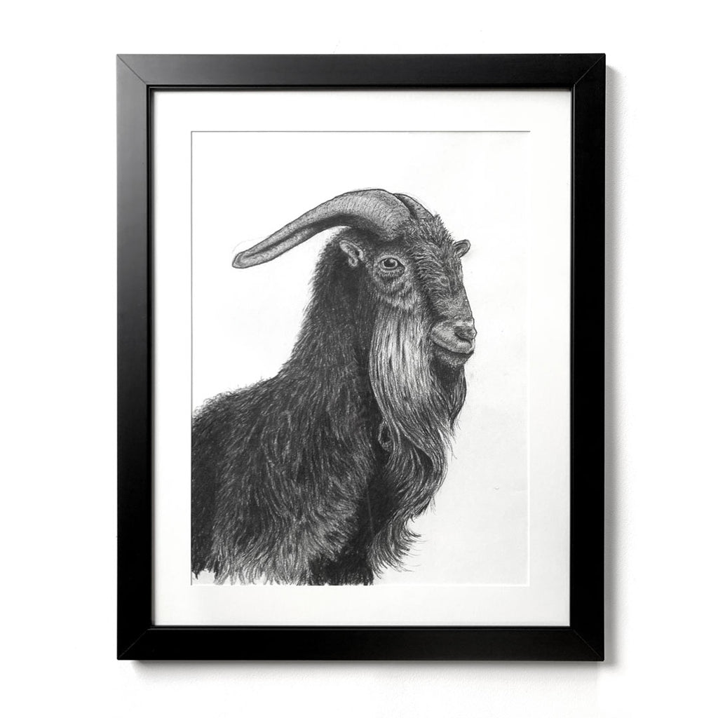 Benevolence Charcoal Goat Fine Art Print