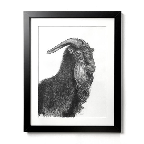 Charcoal Drawings for Sale Original Charcoal Art Animal Drawings
