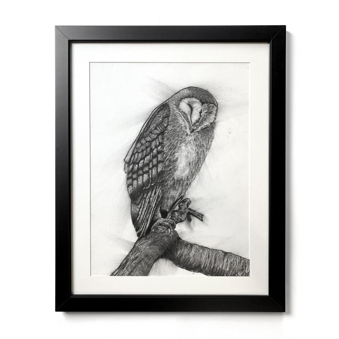Owl Drawing Images - Free Download on Freepik