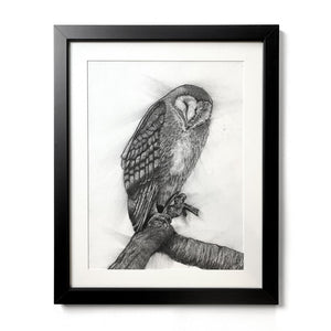charcoal drawing owl framed original