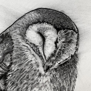 charcoal drawing owl face detail