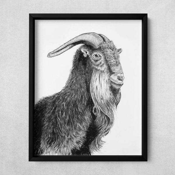 Benevolence Charcoal Goat Fine Art Print