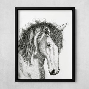 charcoal drawing horse fine art print in black frame