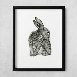 charcoal rabbit bunny fine art print in black frame