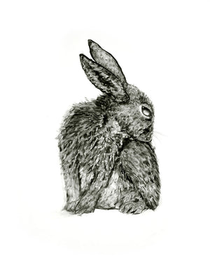 charcoal drawing rabbit bunny fine art print 