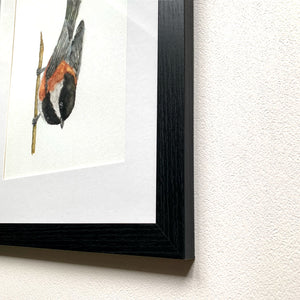 Chestnut-backed Chickadee watercolor bird painting black frame detail