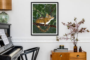chipmunk art print framed on wall
