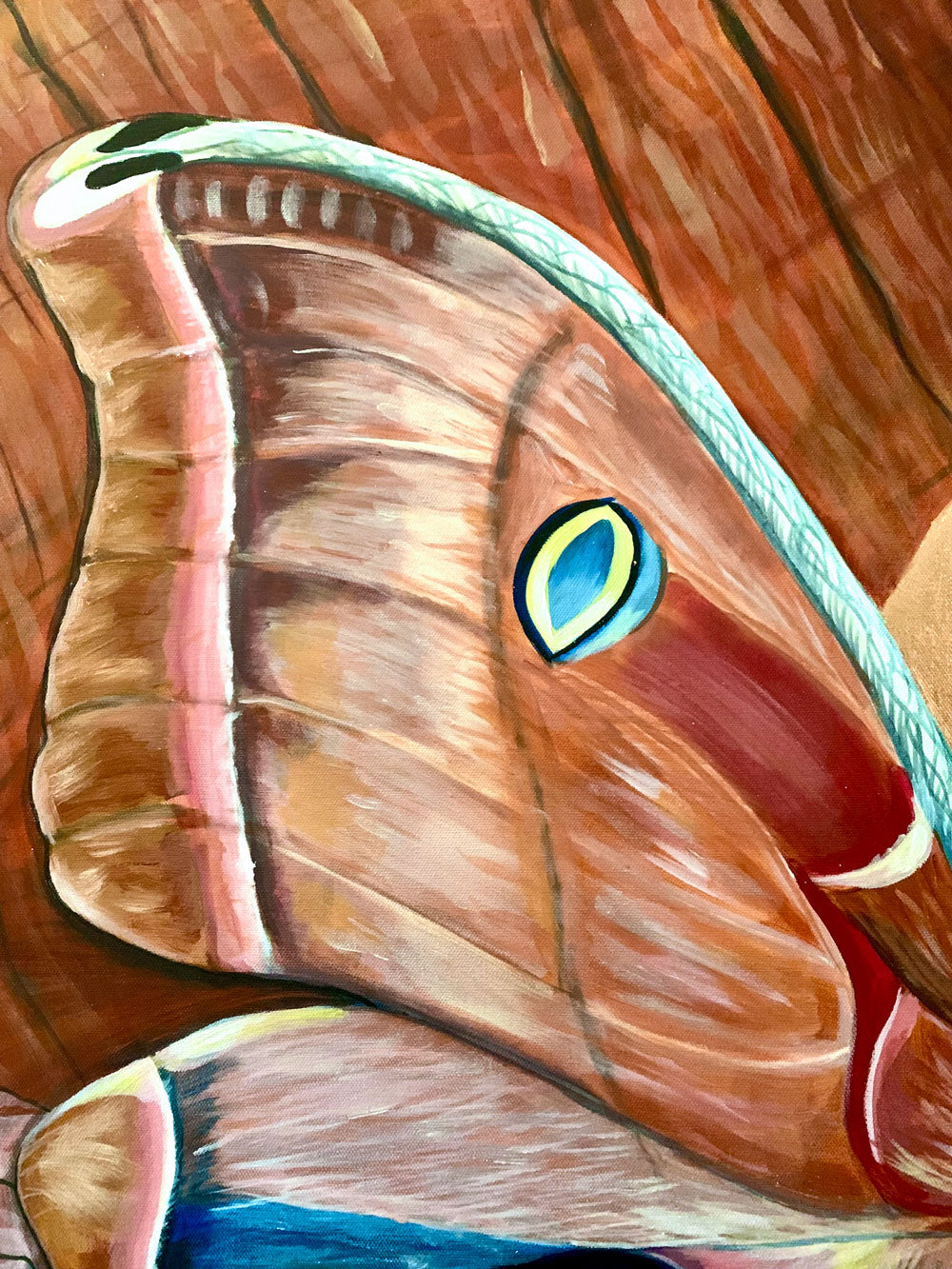 &quot;Love (is not blind)&quot; Polyphemus Moth Painting 48x48