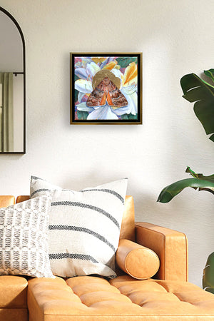 copper underwing moth white rhododendron painting framed on wall over sofa
