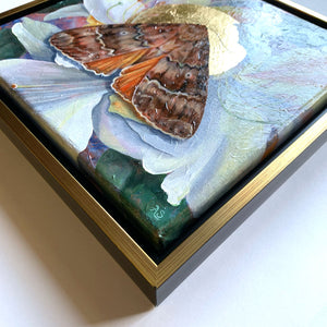 copper underwing moth white rhododendron painting gold float frame detail