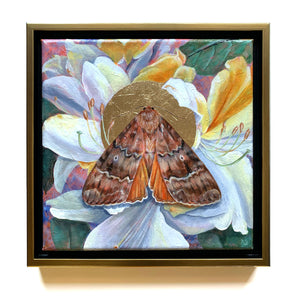 copper underwing moth white rhododendron painting