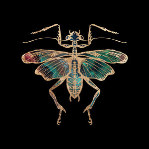 black and Gold insect art  Galactic Cricket Fine Art Print by Aimee Schreiber, galaxy gold leaf ink