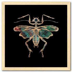 16 inch square Gold Foil Galactic Cricket Fine Art Print by Aimee Schreiber, galaxy gold leaf ink in natural maple wood frame
