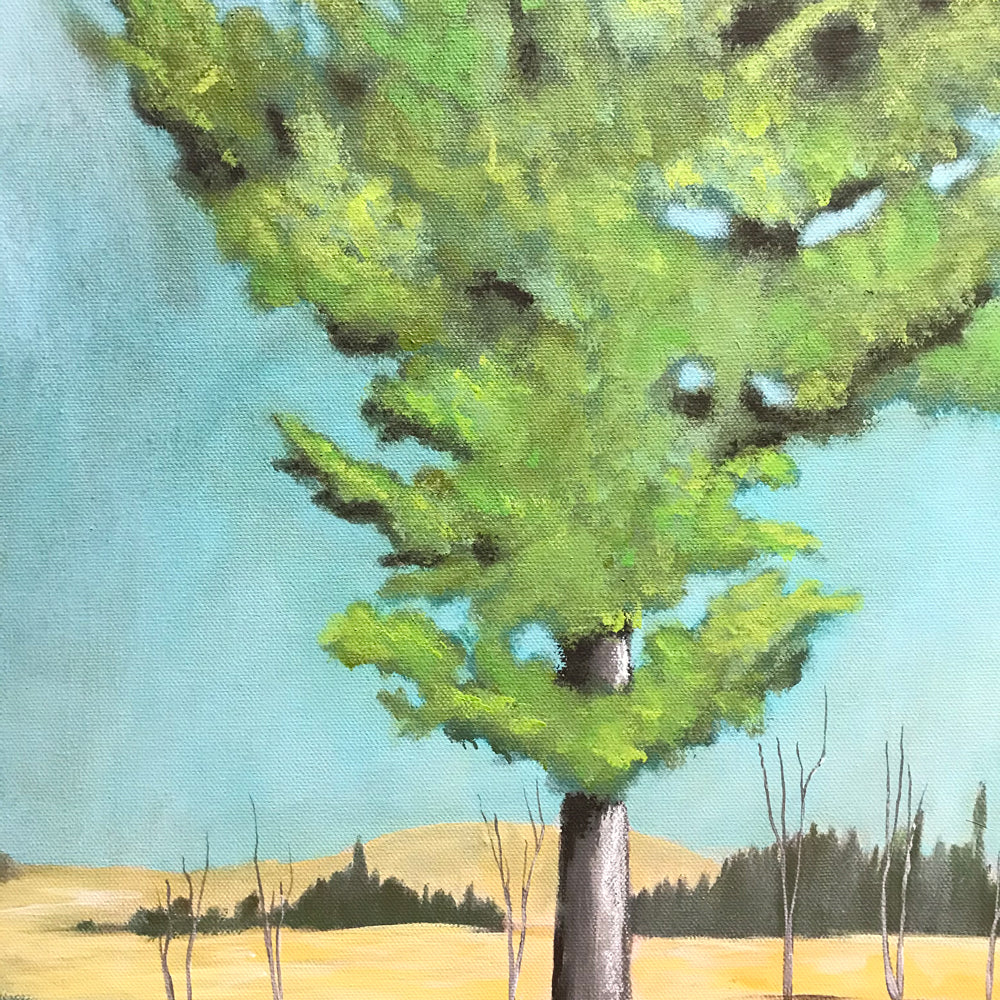 &quot;Morning Drive&quot;