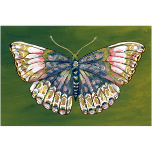 Silk Wings Butterfly Canvas Fine Art Print