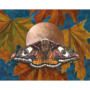 emperor moth art print copper leaf