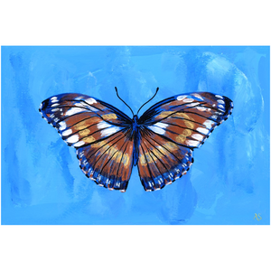 Butterfly Wind Canvas Fine Art Print