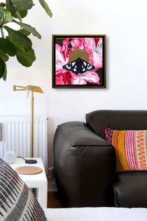 forester moth pink rhododendron painting framed on wall