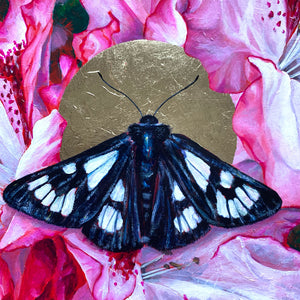 forester moth pink rhododendron painting gold leaf detail