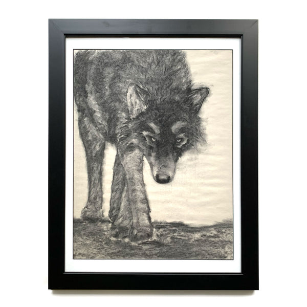 Original Art - Wolf newest Portrait in Charcoal on toned Paper