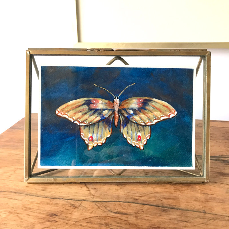 Teal & Rust Butterfly Embellished Fine Art Print in Vintage Frame, 1 - The  Copper Wolf