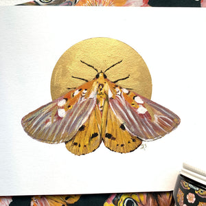 gold embellished moth art print 8 x 10 inches