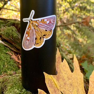 golden moth sticker on water bottle